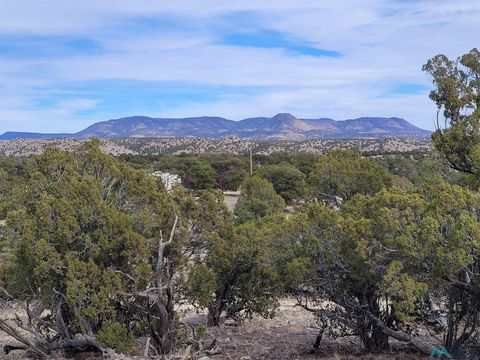 Vacant Land For Sale - 47 Cougar Run<br/> Catron County, Datil, NM 87821
