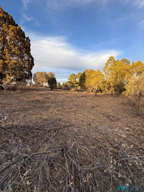 Vacant Land For Sale - 153 Eldrado Drive<br/> Otero County, Timberon, NM 88350