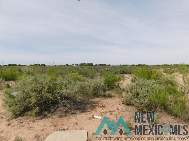 TBD Tennyson Dr. Lot 4, Deming, Texas image 1