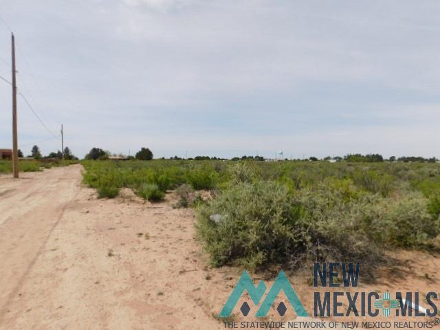 TBD Tennyson Dr. Lot 4, Deming, Texas image 6