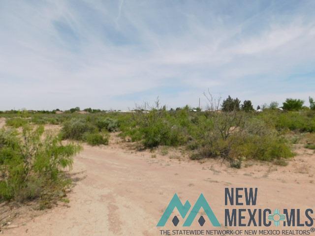 TBD Tennyson Dr. Lot 4, Deming, Texas image 3