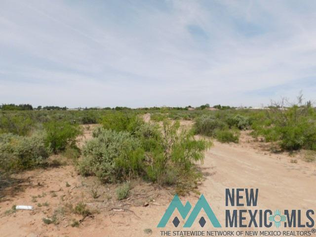 TBD Tennyson Dr. Lot 4, Deming, Texas image 2