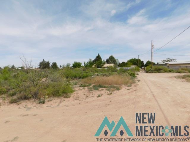 TBD Tennyson Dr. Lot 4, Deming, Texas image 5