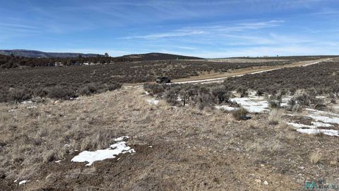 Vacant Land For Sale - 100 Vereda De Venados Road<br/> Rio Arriba County, Tierra Amarilla, NM 87575