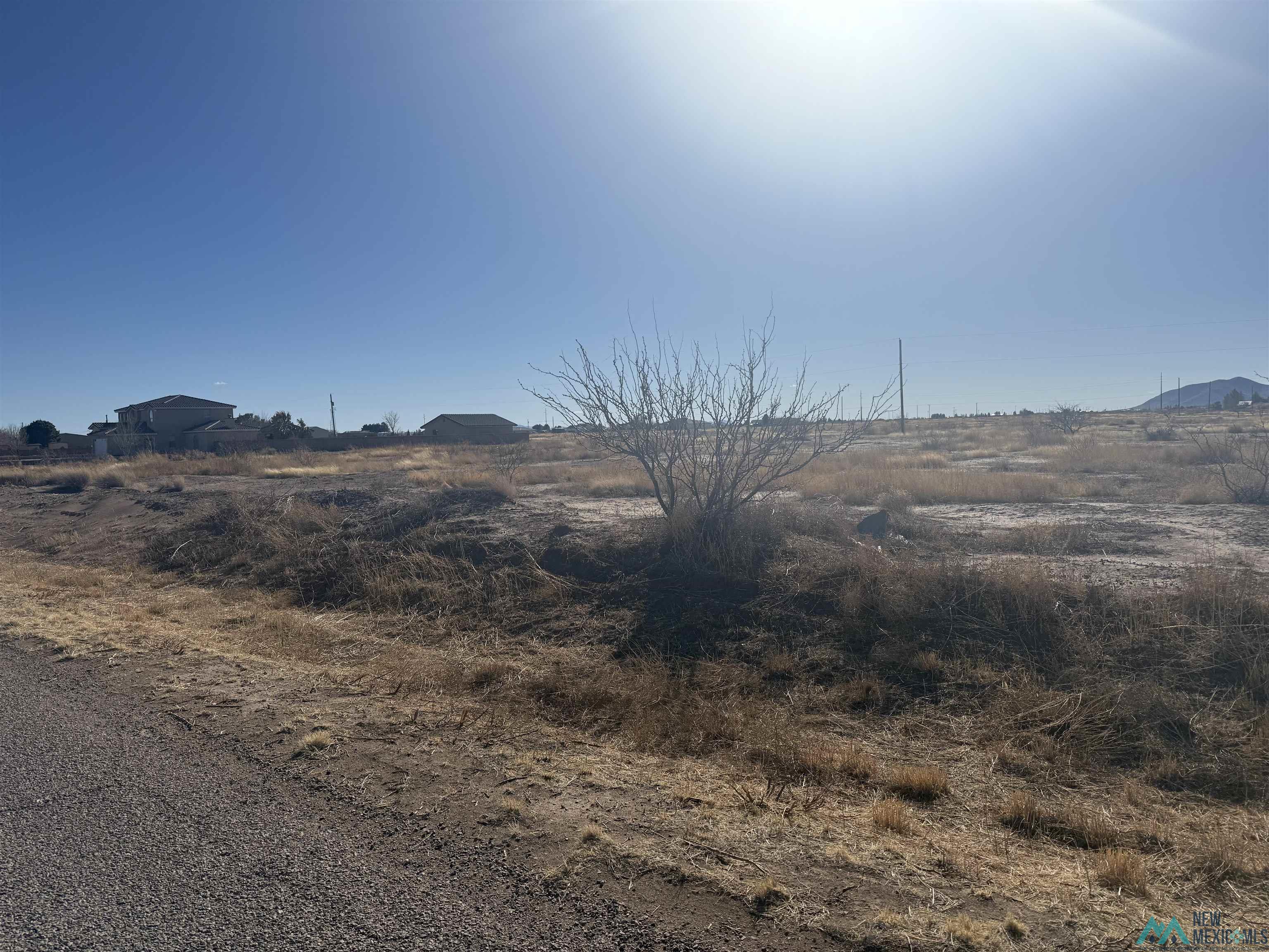 000 SW Blue Quail Road, Deming, New Mexico image 3