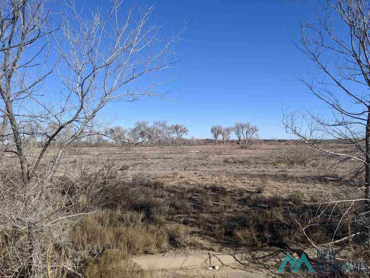 33 Driftwood Place, Roswell, New Mexico image 5