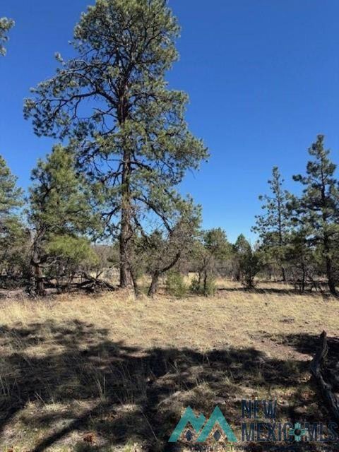 Vacant Land For Sale - TBD Doe Run<br/> Los Ojos, NM 87551