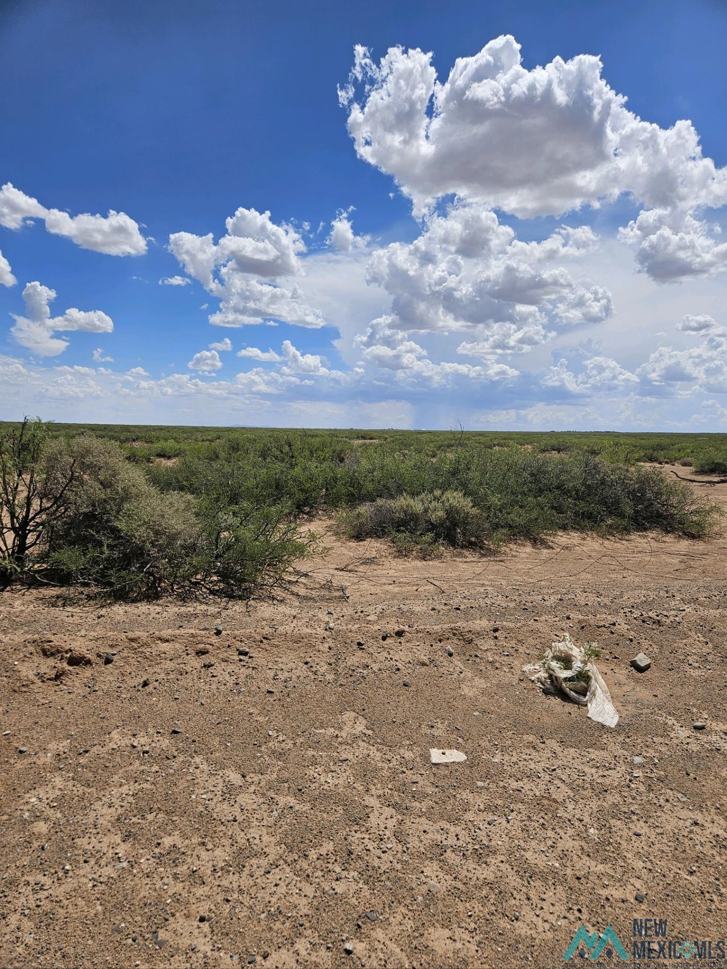 XXX Whirlwind Rd, Deming, Texas image 3