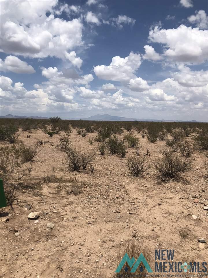 Lot 19 Upper Palomas Subdivision, Williamsburg, New Mexico image 8