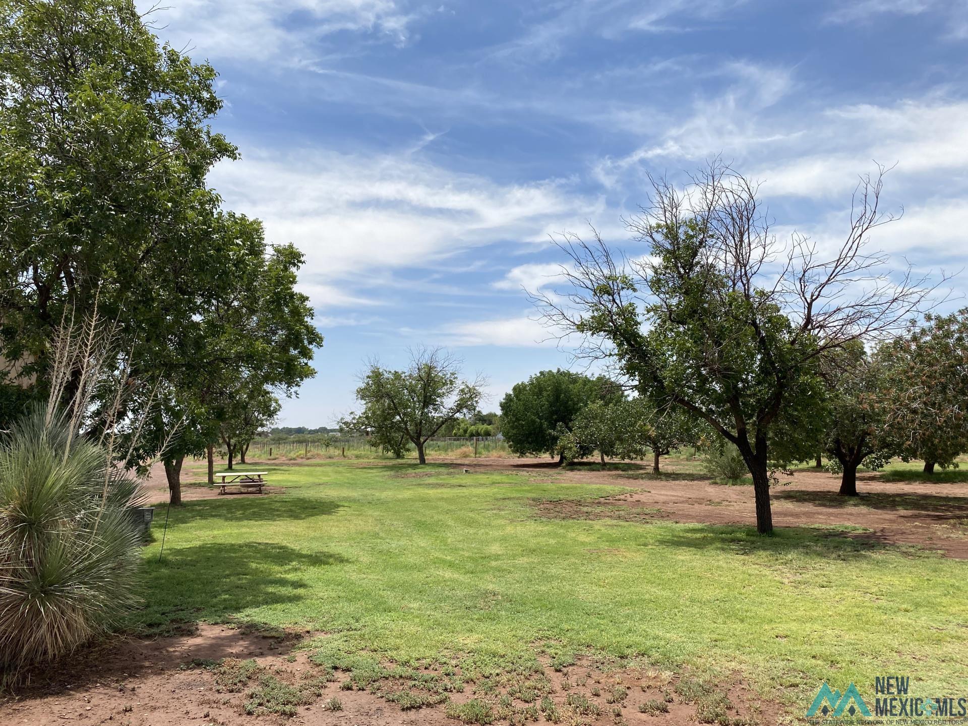 23 Coyote Road, Tularosa, Texas image 14