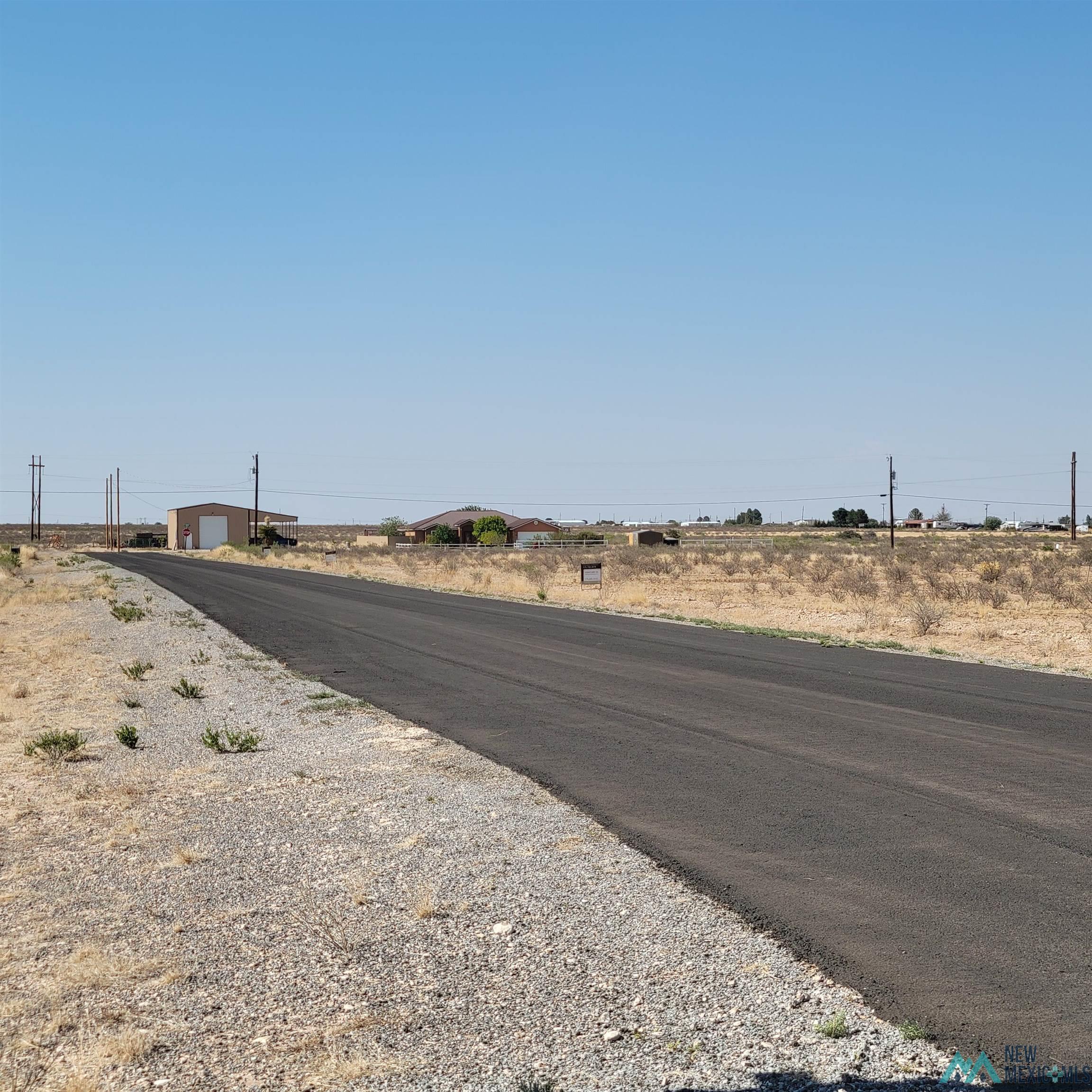 Lot 20B S Tagwood Lane, Carlsbad, New Mexico image 5