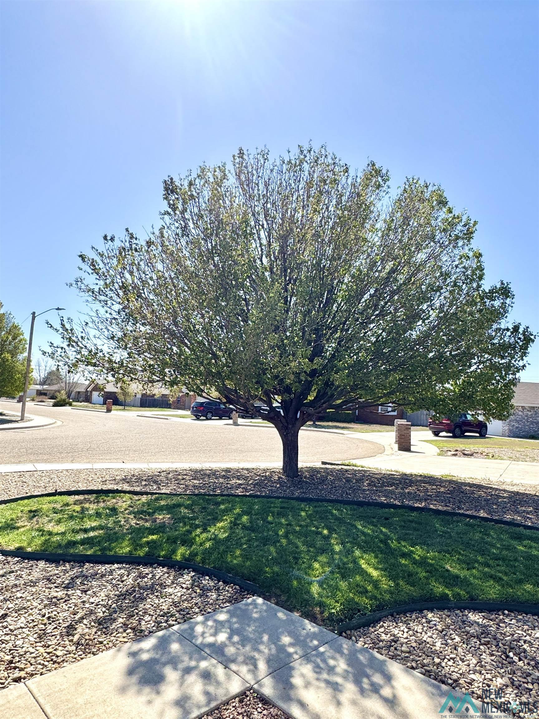 552 La Salle Drive, Clovis, New Mexico image 4