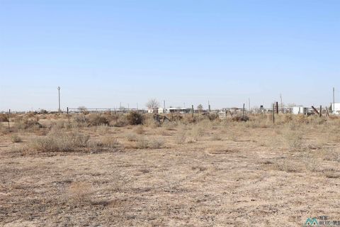 Vacant Land For Sale - 462 Palomino Street<br/> Chaves County, Hagerman, NM 88232
