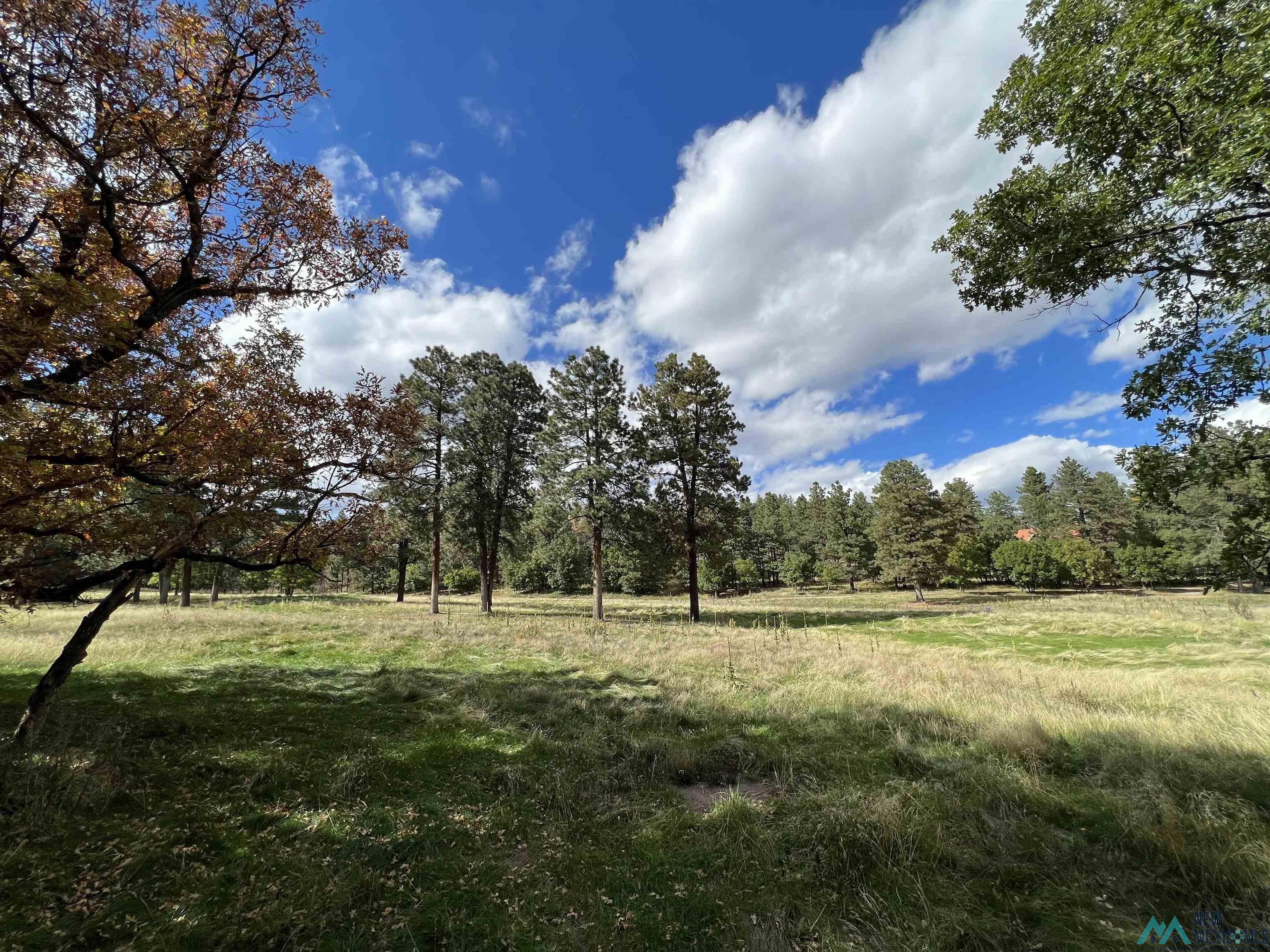 90 Camino Facil Road, Rociada, New Mexico image 6