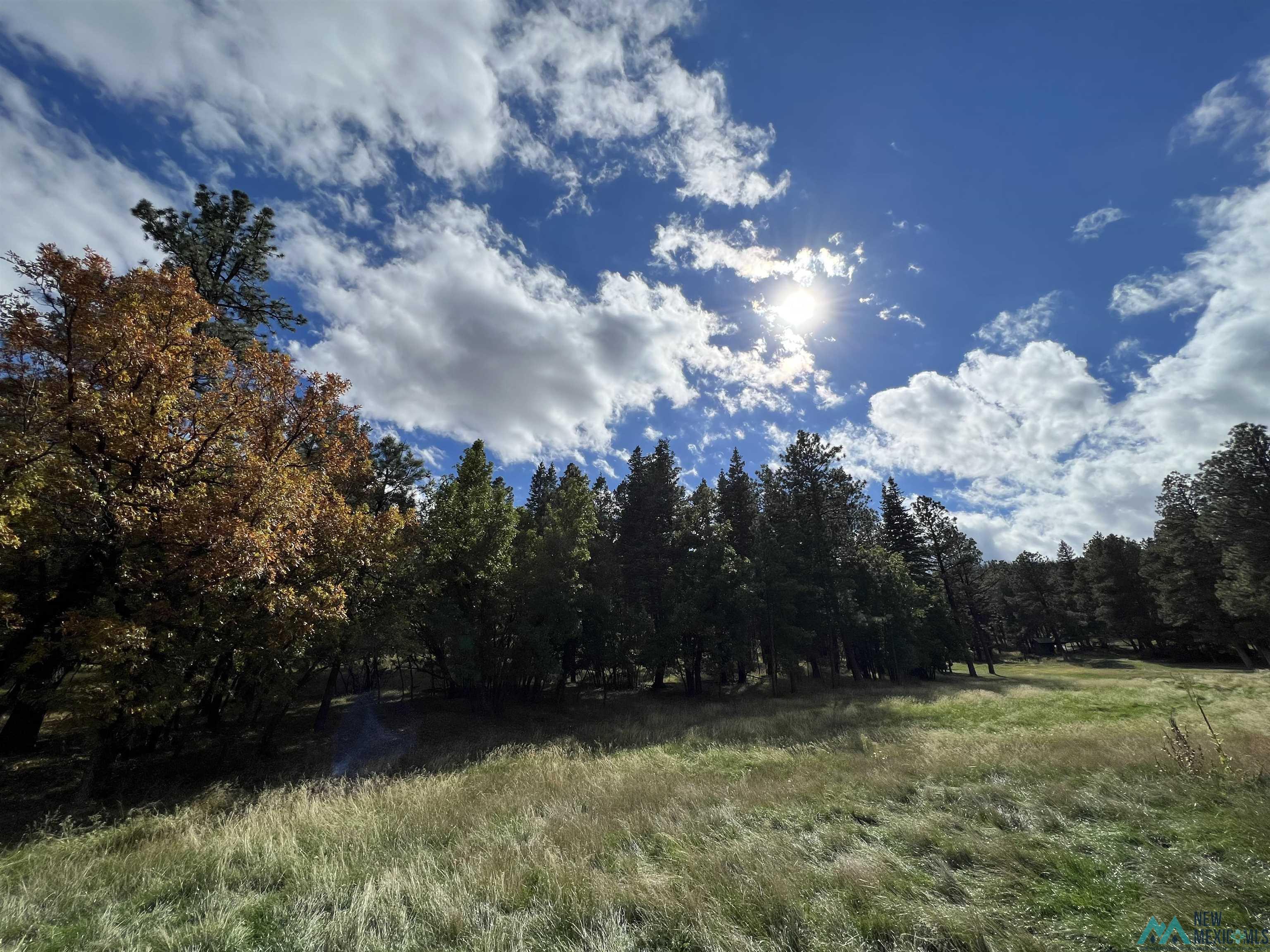 90 Camino Facil Road, Rociada, New Mexico image 13