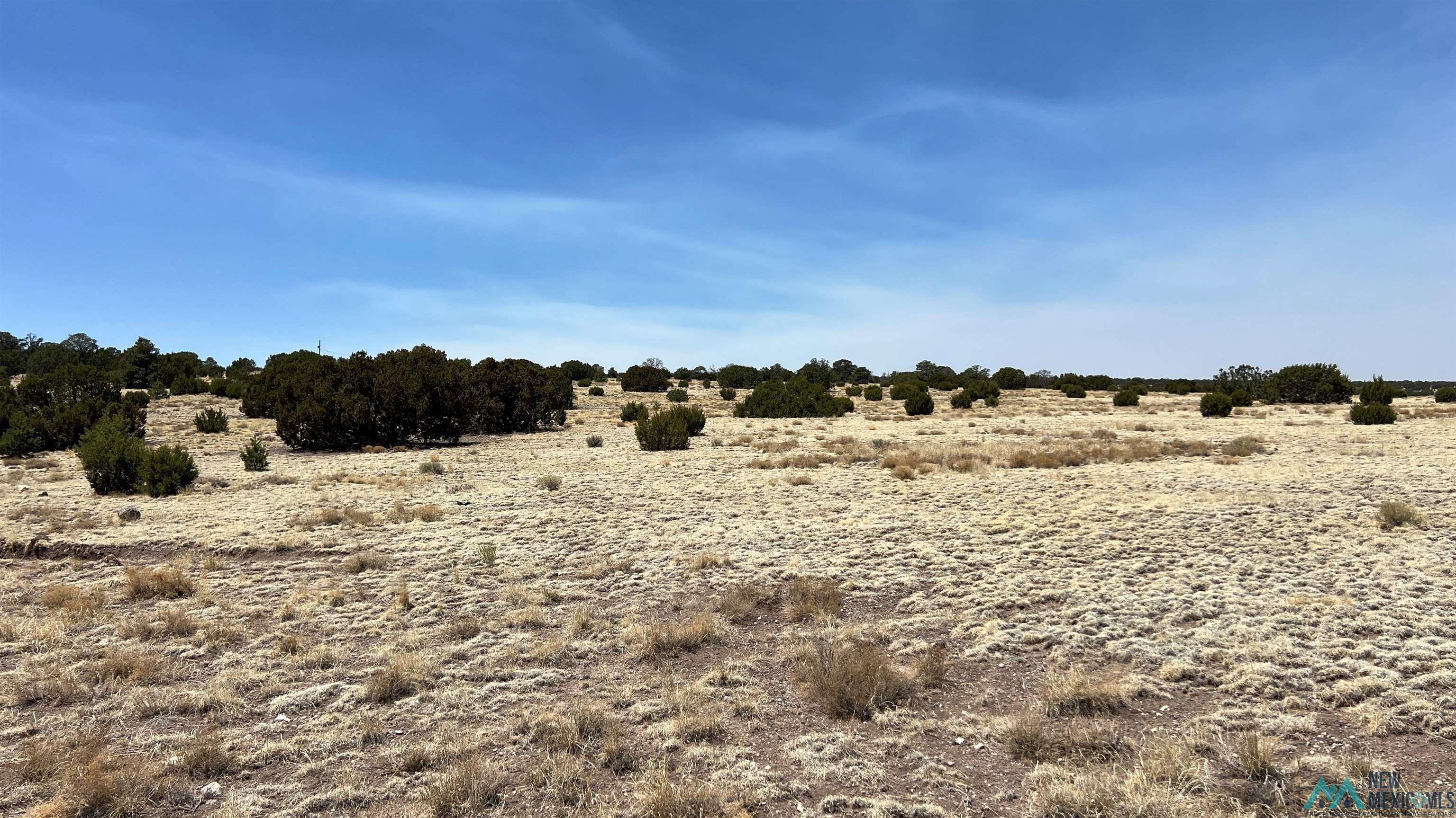 51 Hide Away Road, Quemado, Texas image 3
