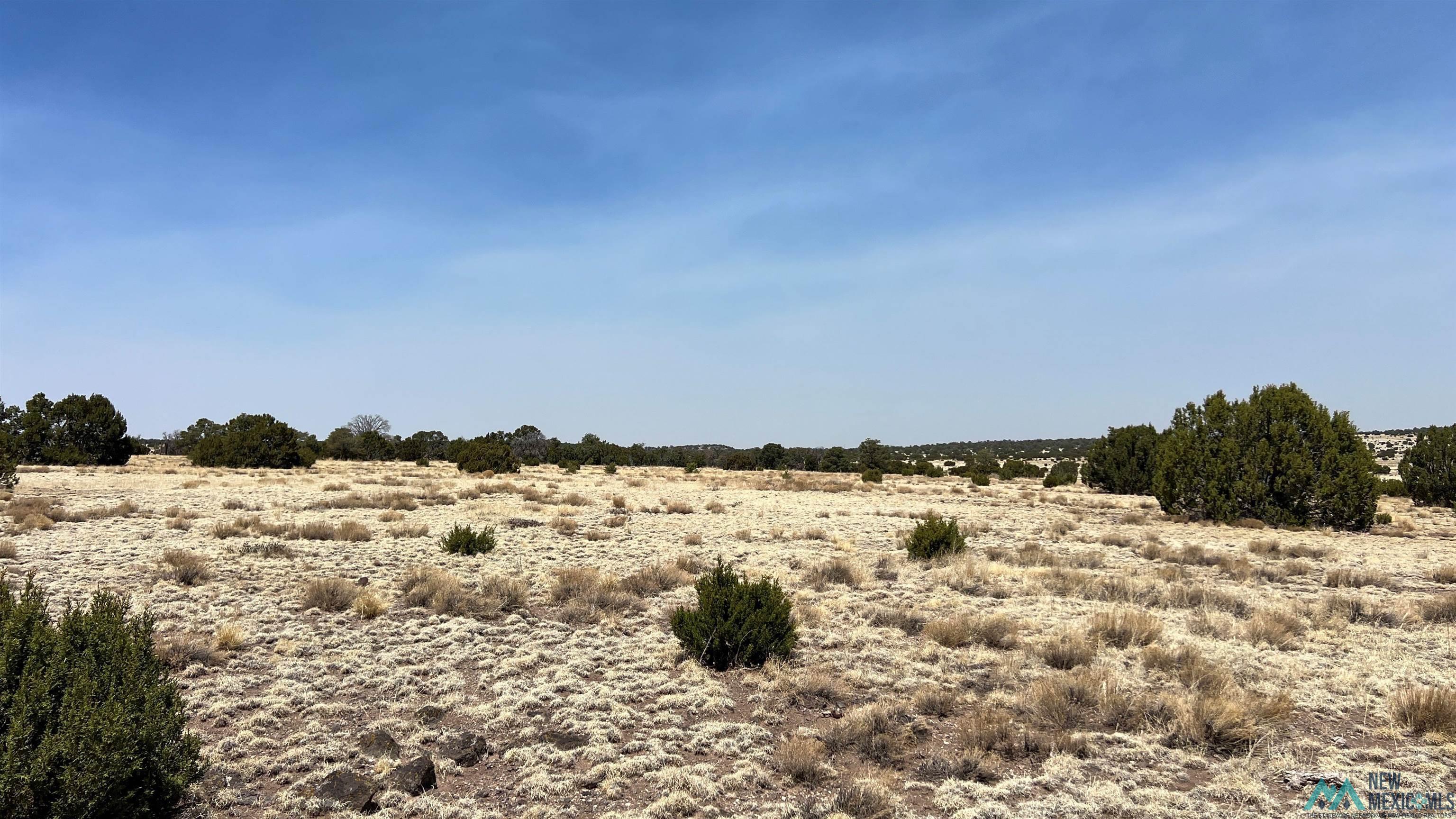 51 Hide Away Road, Quemado, Texas image 7