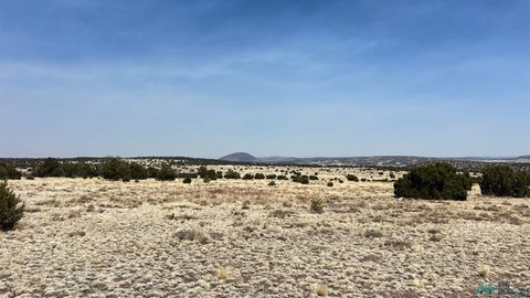 Homes For Sale - 51 Hide Away Road<br/> Quemado, NM 87829