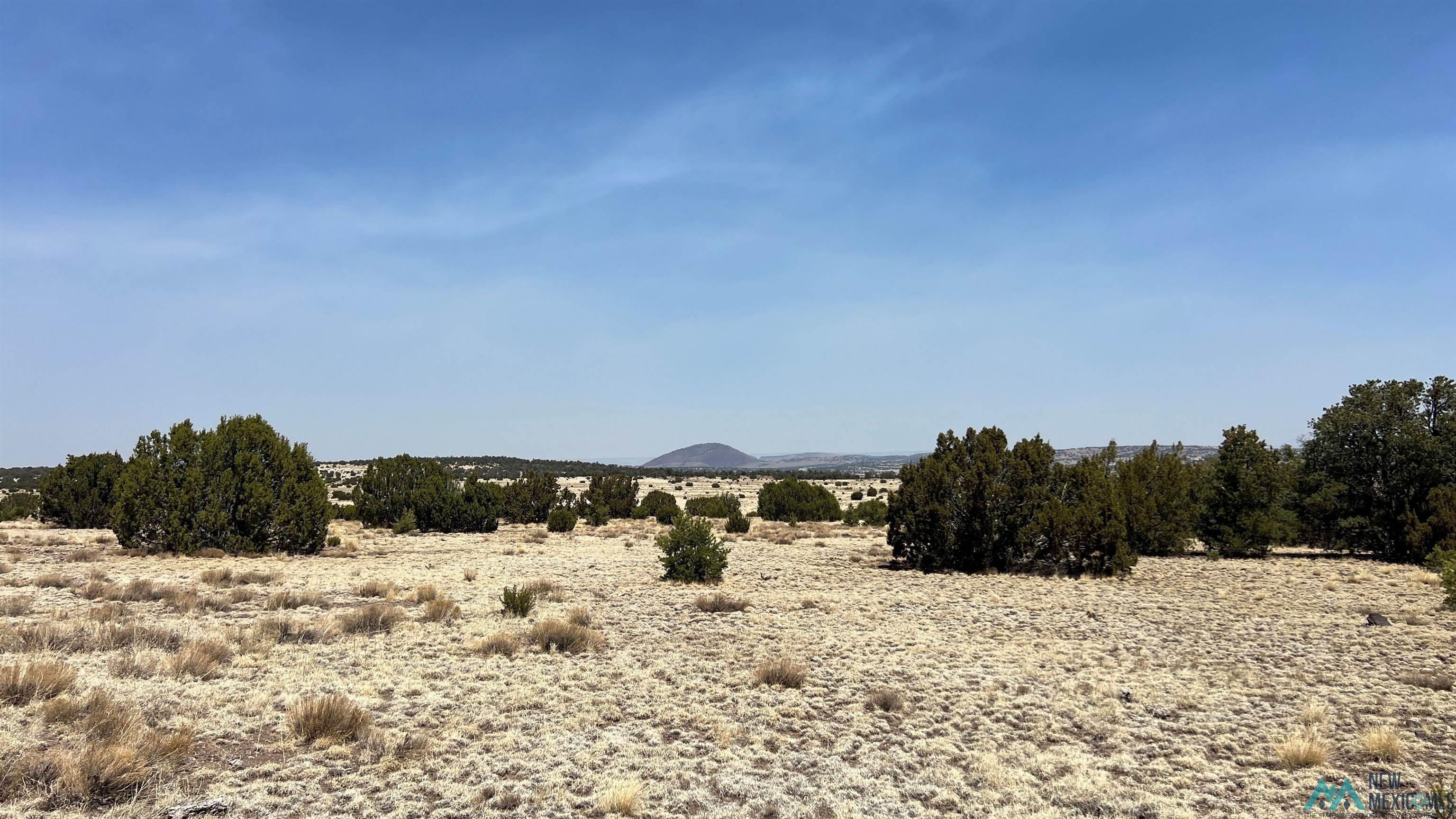 51 Hide Away Road, Quemado, Texas image 8