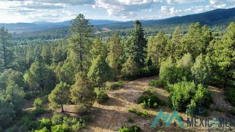 Vacant Land For Sale - TBD Log Ridge Trail<br/> Chama, NM 87520