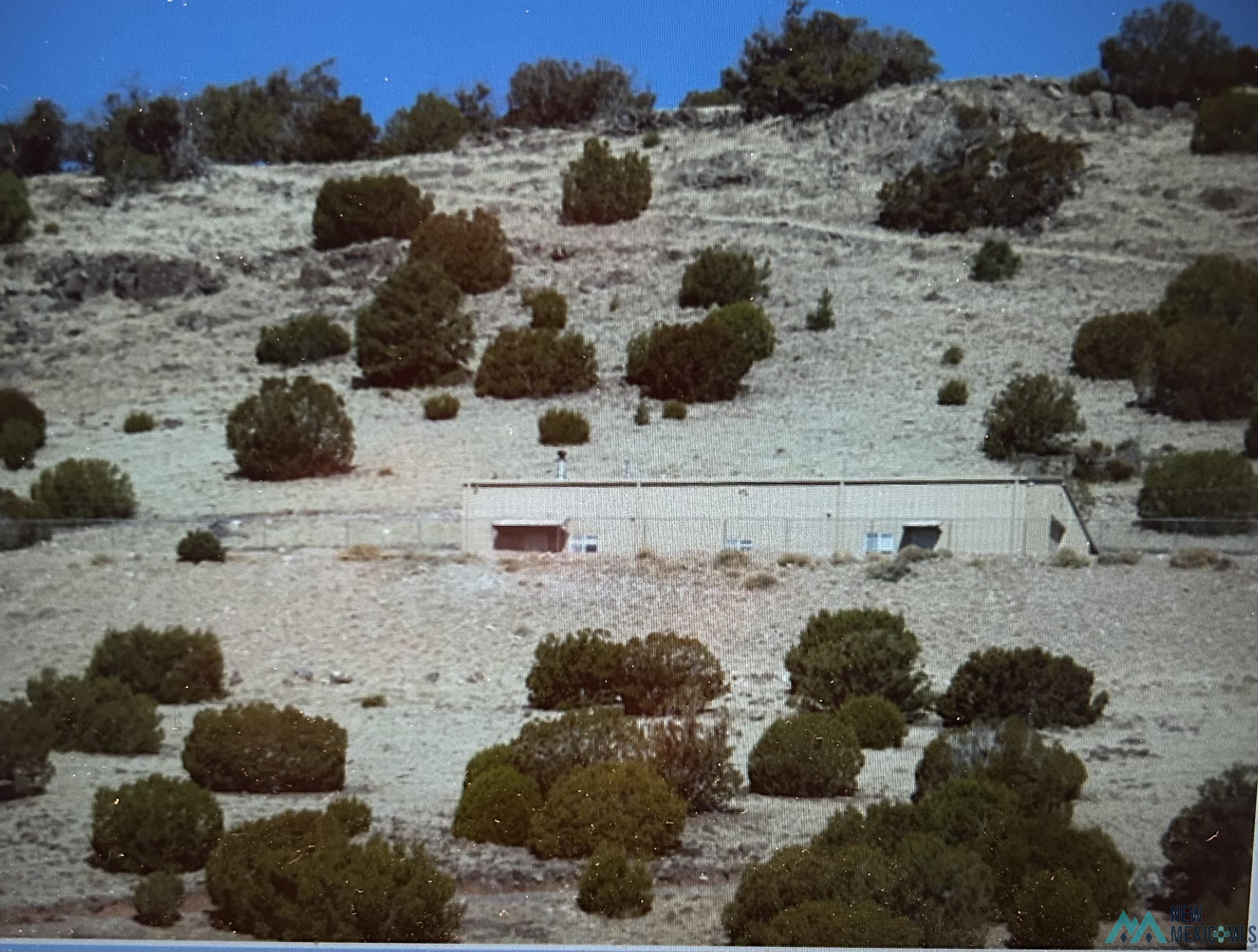 157 W Mckinley Road, Quemado, Texas image 6