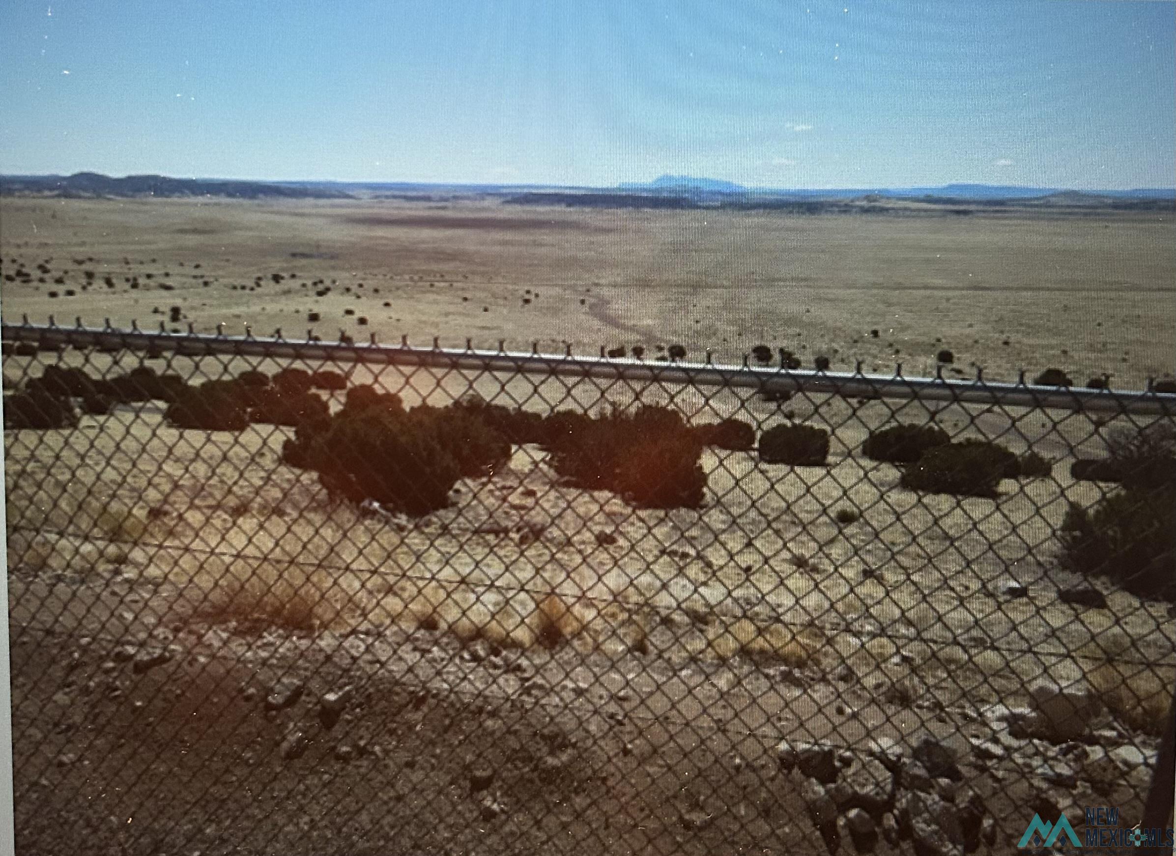 157 W Mckinley Road, Quemado, Texas image 9