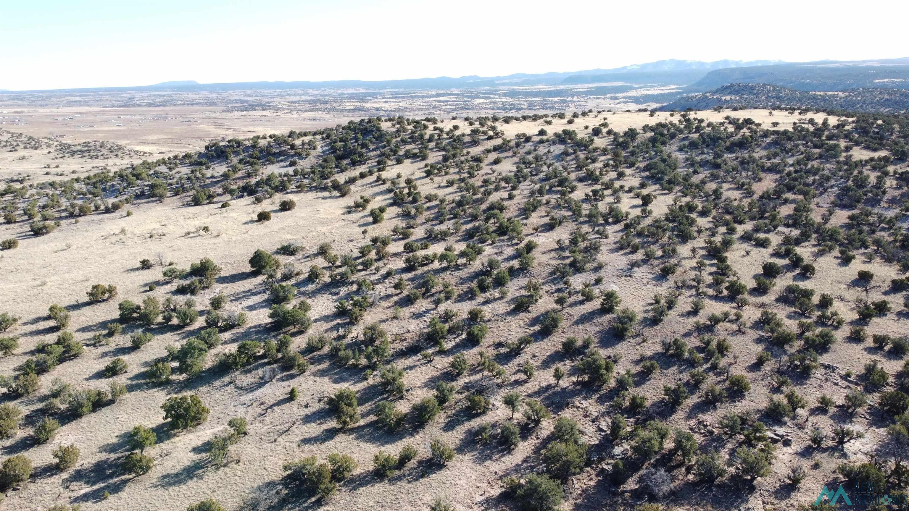 Lot 4 R207200 Ln, Prewitt, New Mexico image 16