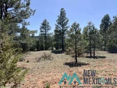 Vacant Land For Sale - 807 Timberlake Road<br/> Ramah, NM 87321
