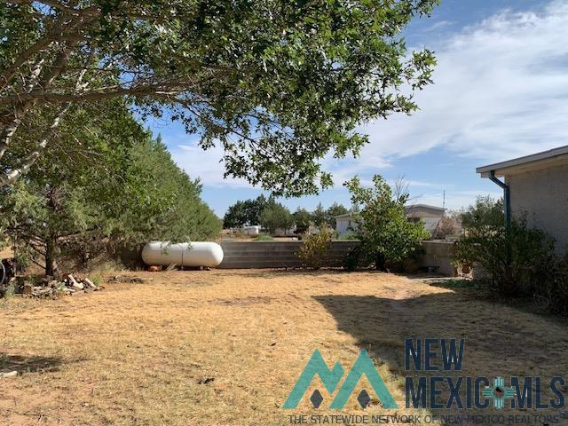 637A Buck Bigler Drive, Portales, New Mexico image 29