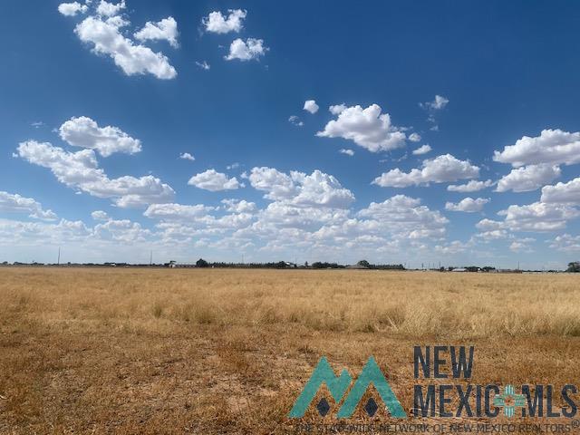 637A Buck Bigler Drive, Portales, New Mexico image 2