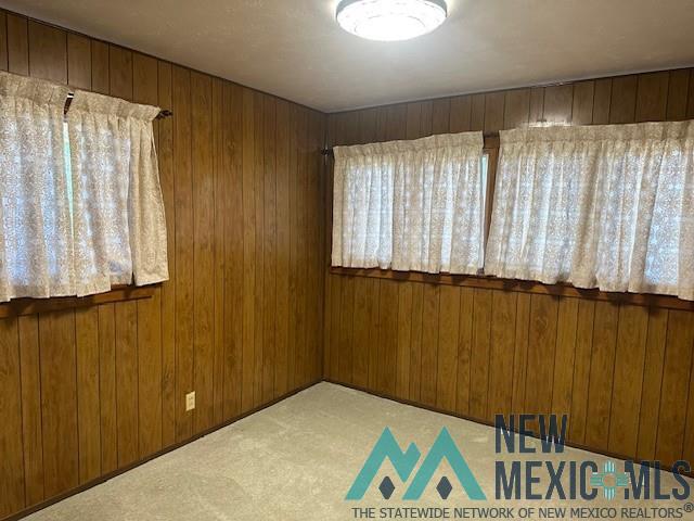 1308 Gamma Avenue, Carlsbad, New Mexico image 20