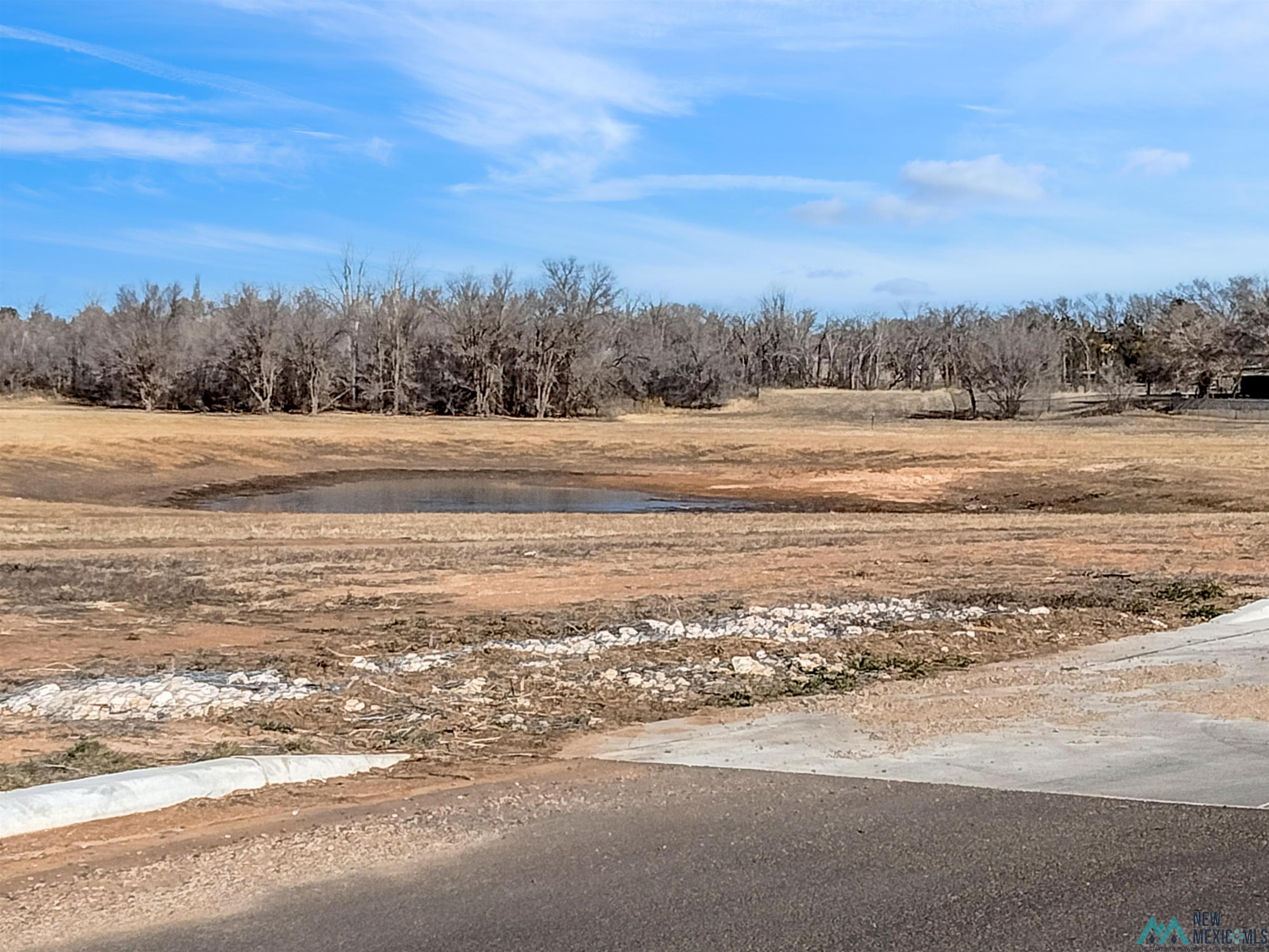 1511 Arbor Drive, Clovis, New Mexico image 4