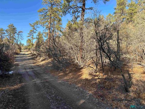 Vacant Land For Sale - TBD Private Drive 1781<br/> Chama, NM 87520