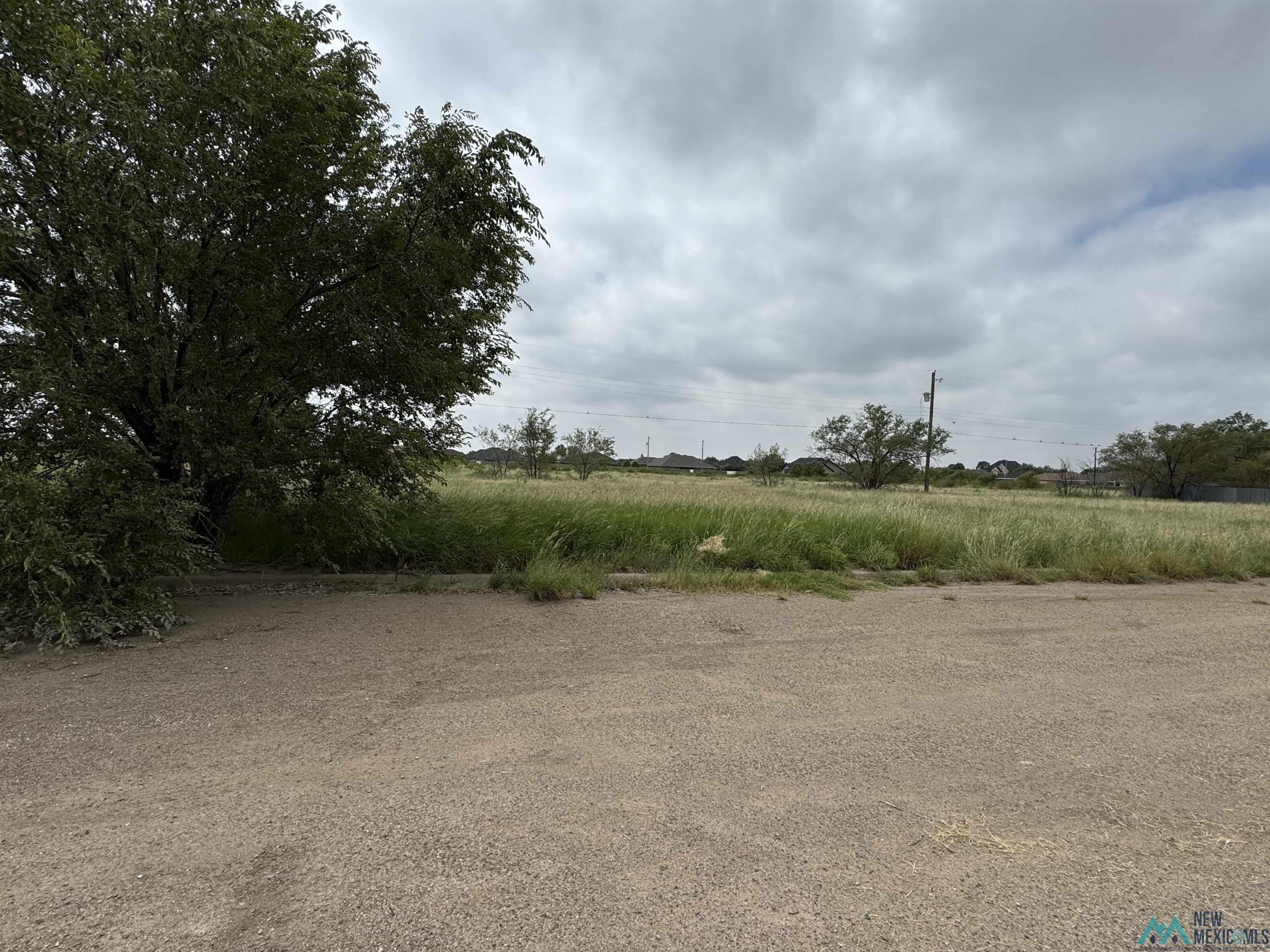000 Leo Drive, Portales, New Mexico image 1
