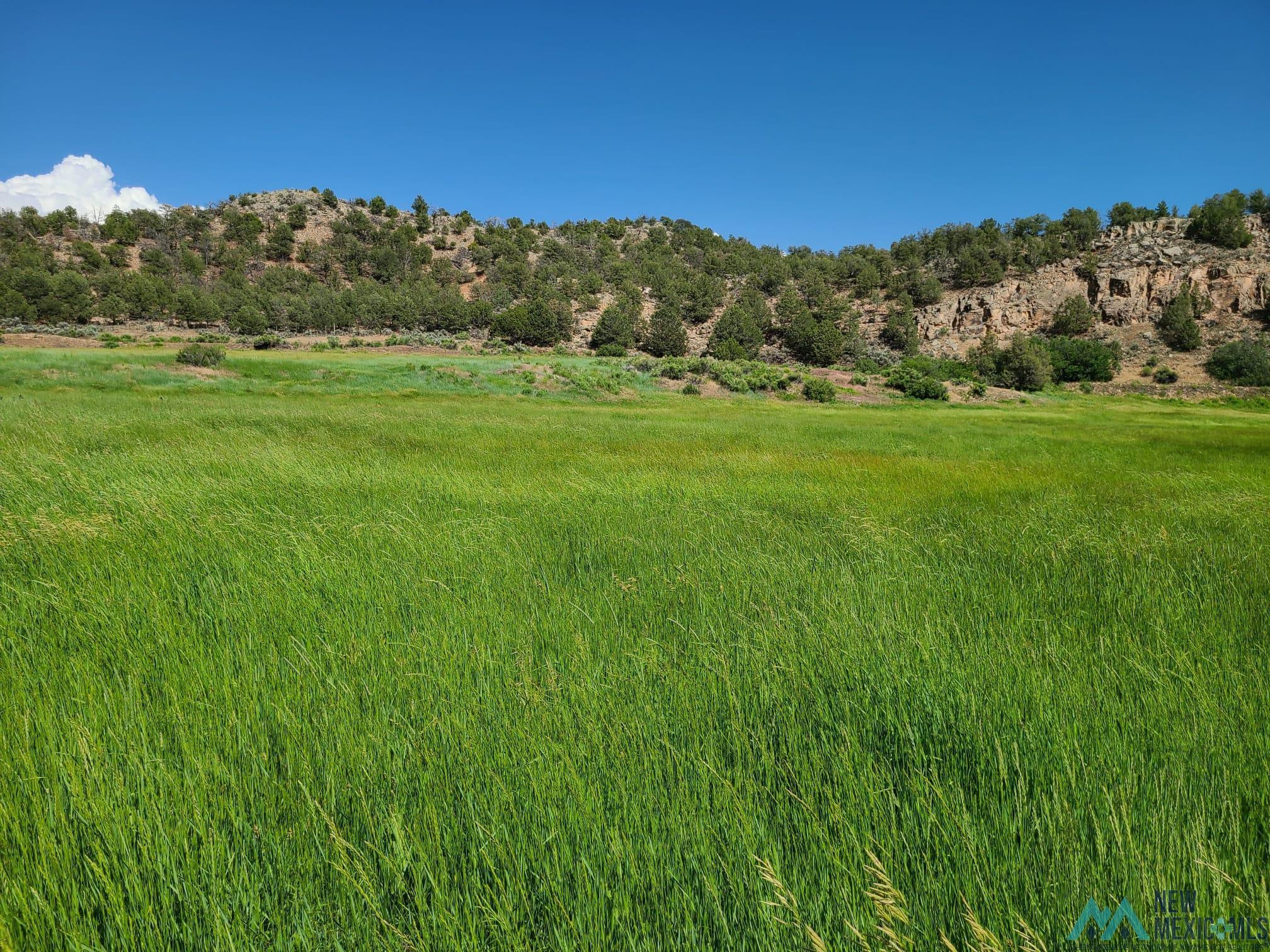 248 State Road 341 Ln, La Madera, New Mexico image 28