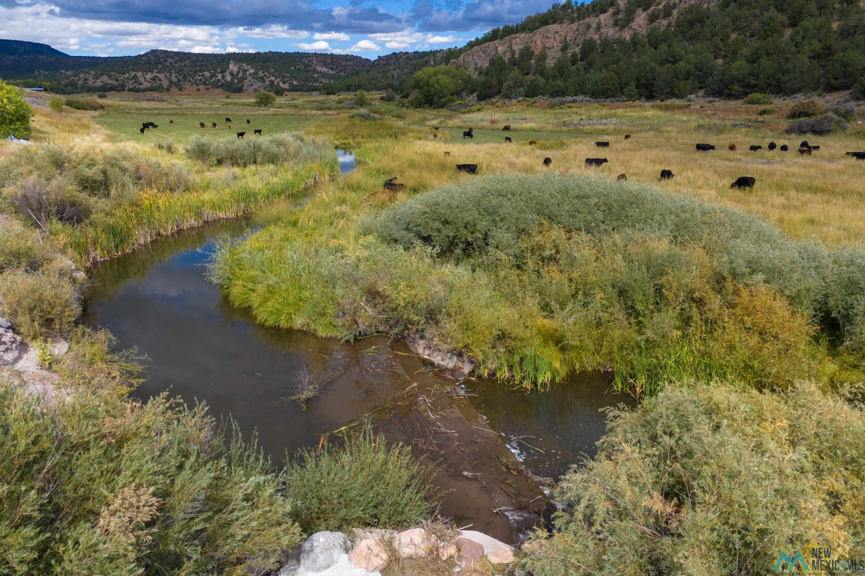 248 State Road 341 Ln, La Madera, New Mexico image 36