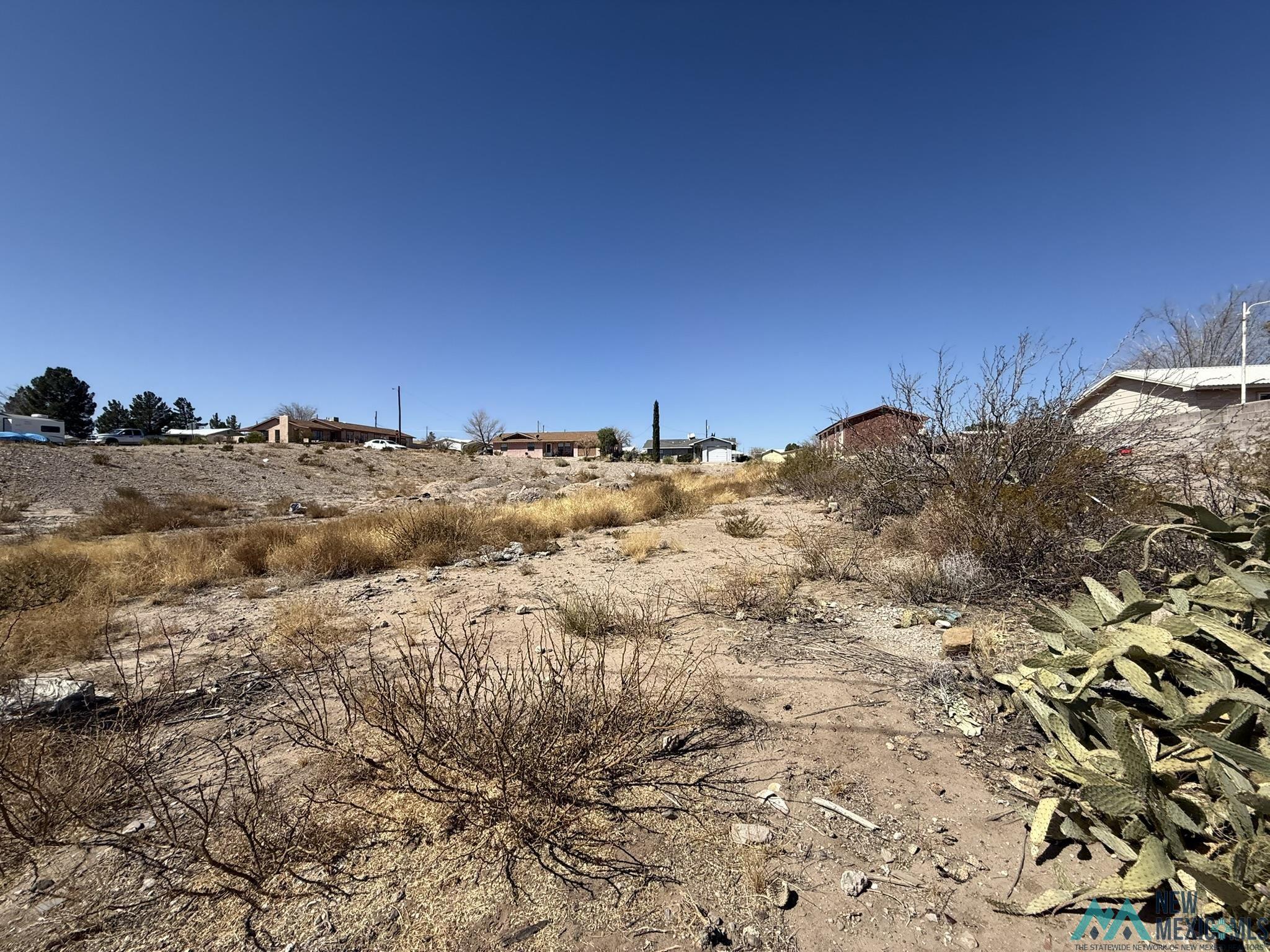 TBD W. 8th Street, Truth Or Consequences, New Mexico image 7