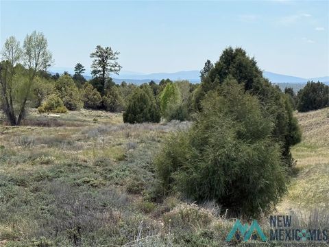 Vacant Land For Sale - Porky Gulch Drive<br/> Rio Arriba County, Chama, NM 87520