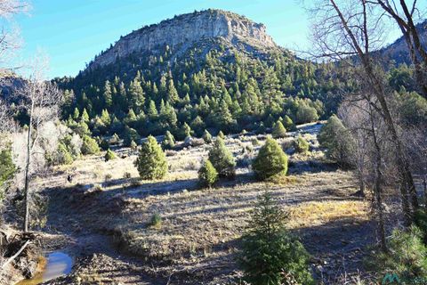 Vacant Land For Sale - 00 Cr 352<br/> Rio Arriba County, Chama, NM 87528