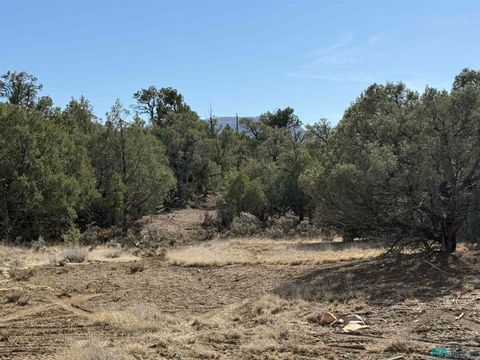 Vacant Land For Sale - Christy Lane<br/> Rio Arriba County, Los Ojos, NM 87551
