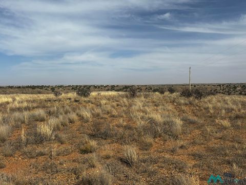 Vacant Land For Sale - Sr 203 Highway<br/> Lake Sumner, NM 88119