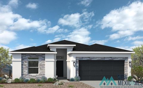 Homes For Sale - 3709 N Pat Garrett Road<br/> Eddy County, Carlsbad, NM 88220