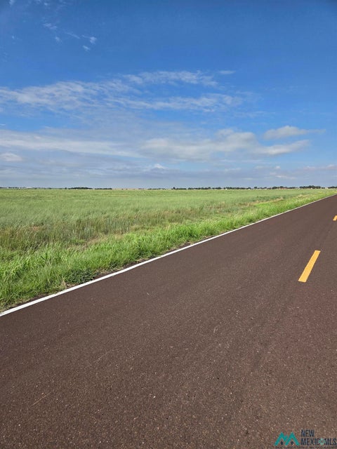 Vacant Land For Sale - TRACT 5 Cr 16 Road<br/> Curry County, Clovis, NM 88101