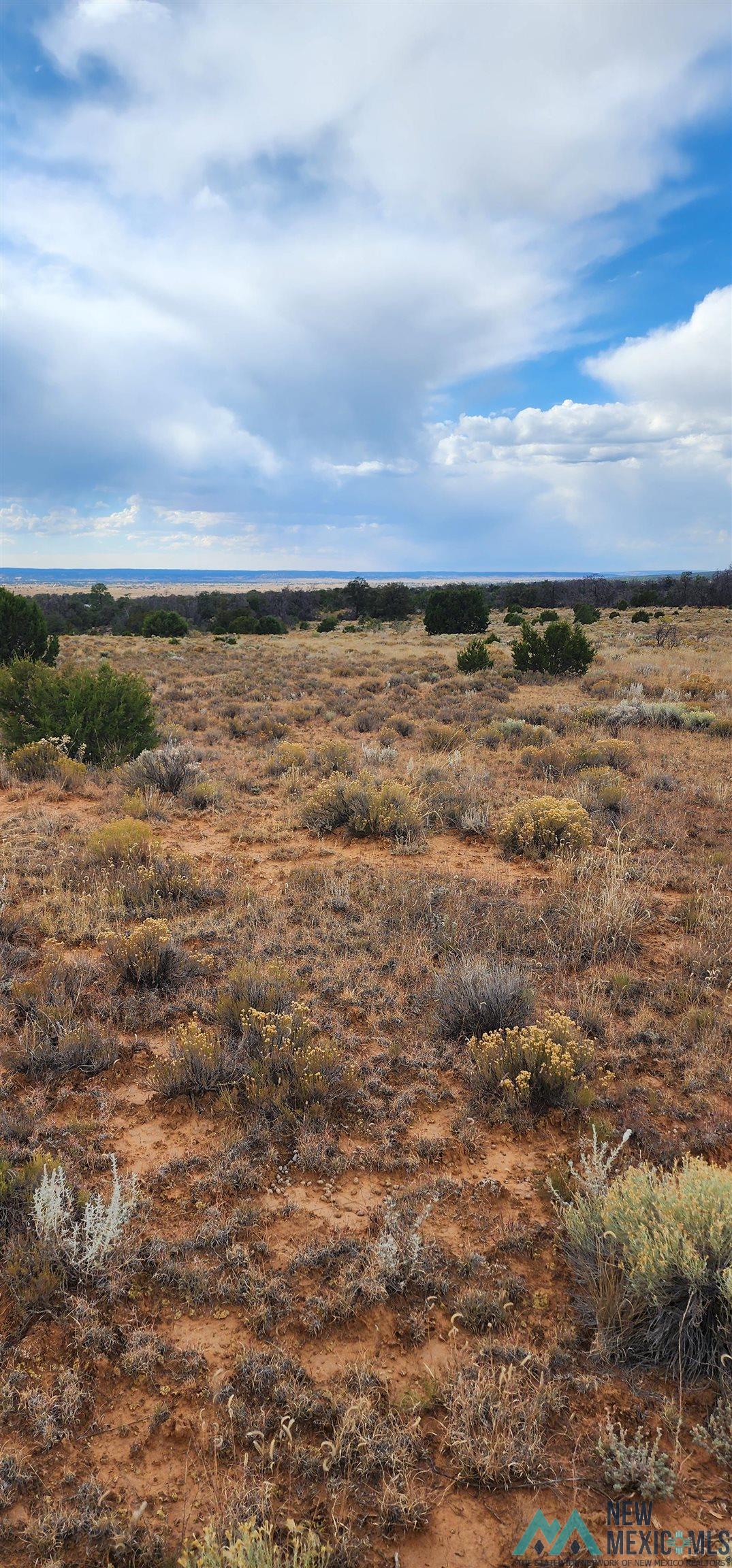 503 Oakwood Place, Carlsbad, New Mexico image 7