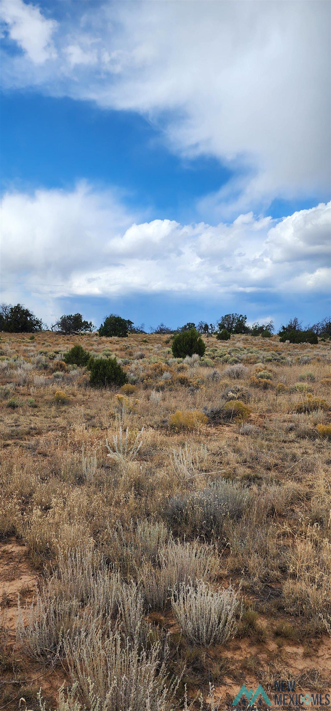 503 Oakwood Place, Carlsbad, New Mexico image 4