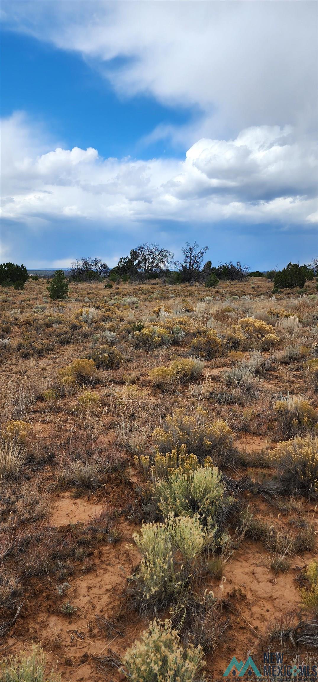 503 Oakwood Place, Carlsbad, New Mexico image 8