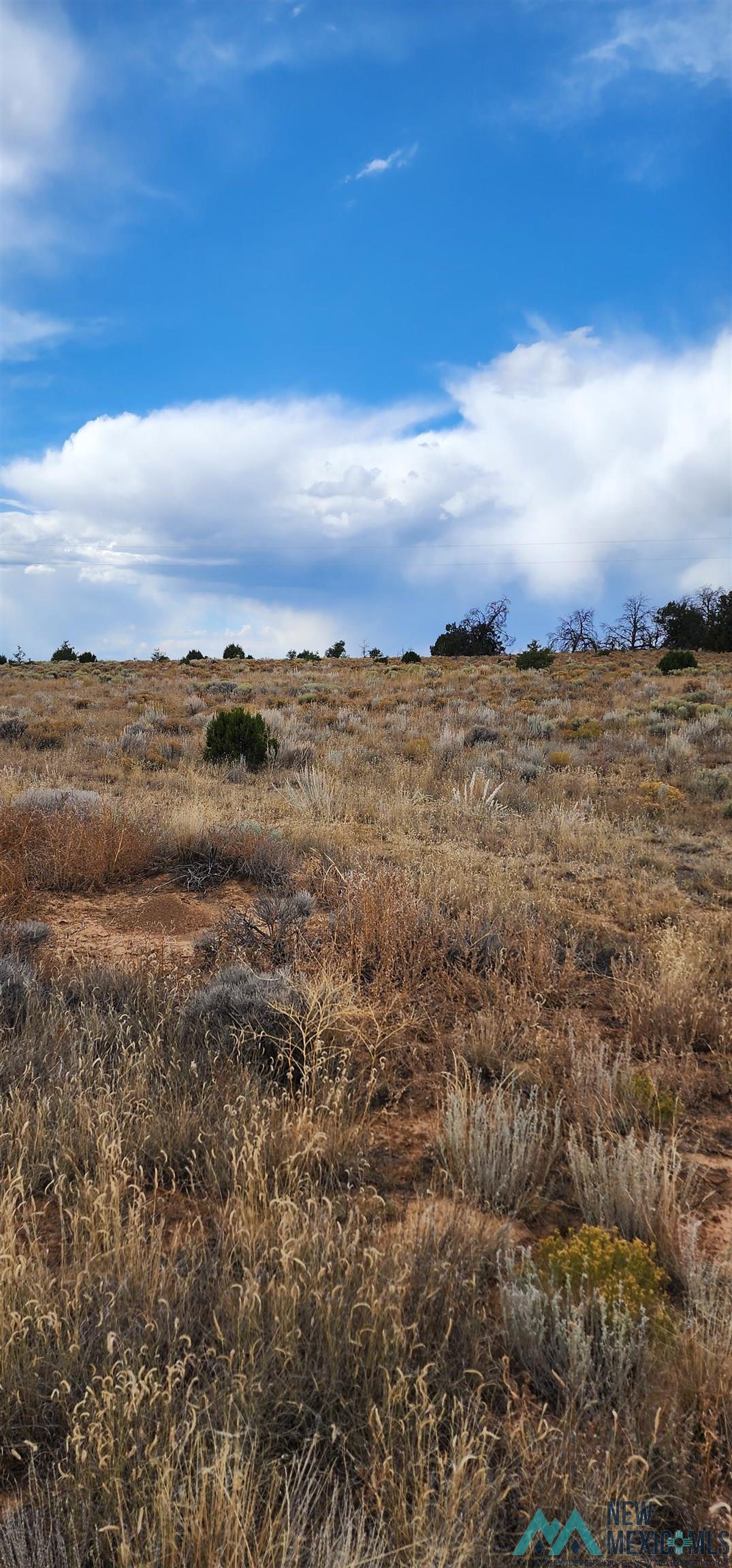 503 Oakwood Place, Carlsbad, New Mexico image 3