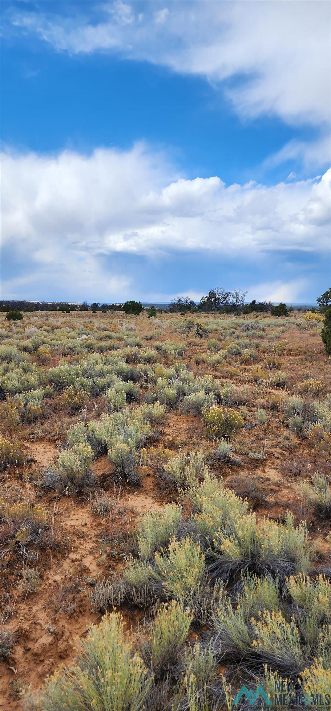 503 Oakwood Place, Carlsbad, New Mexico image 6