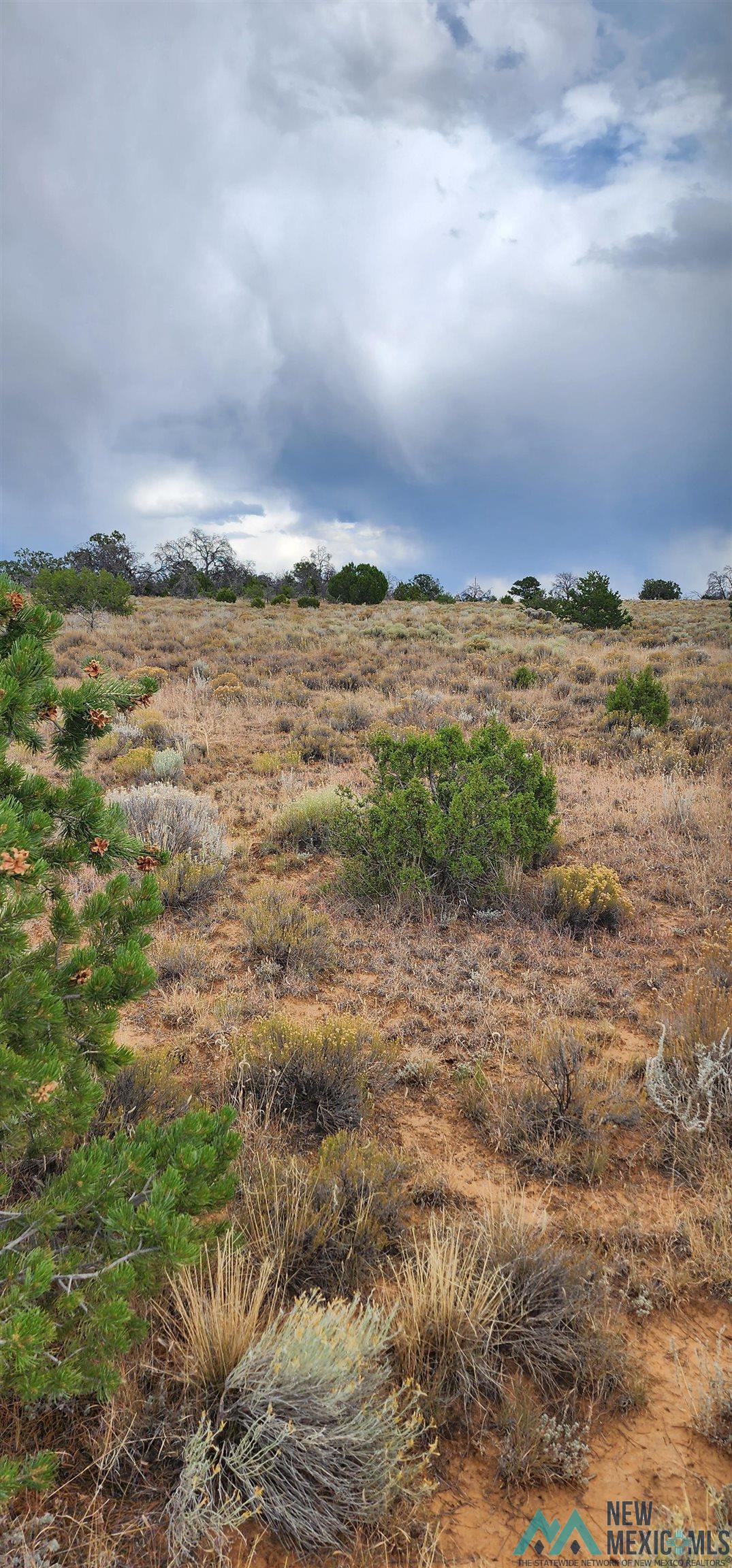 503 Oakwood Place, Carlsbad, New Mexico image 1