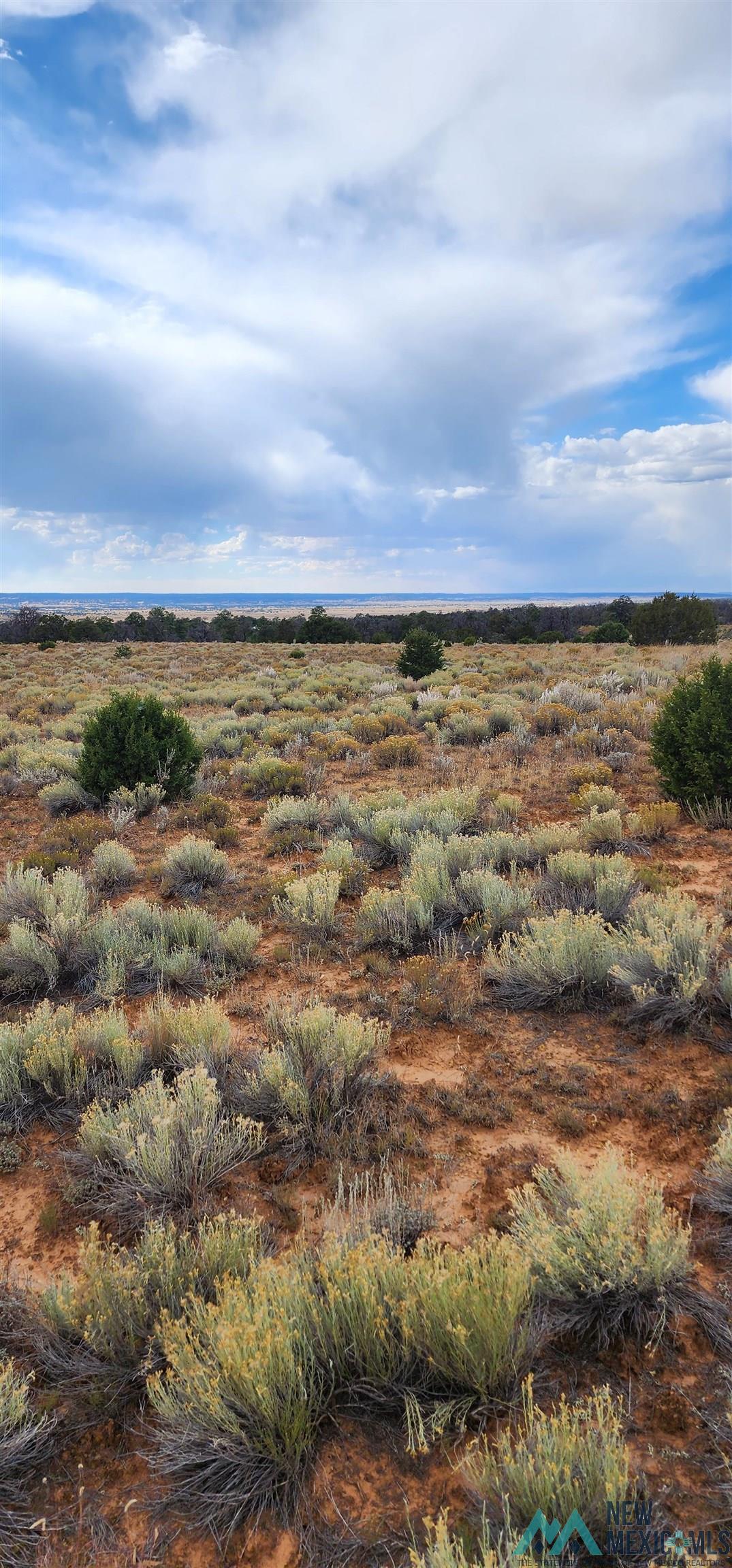 503 Oakwood Place, Carlsbad, New Mexico image 11